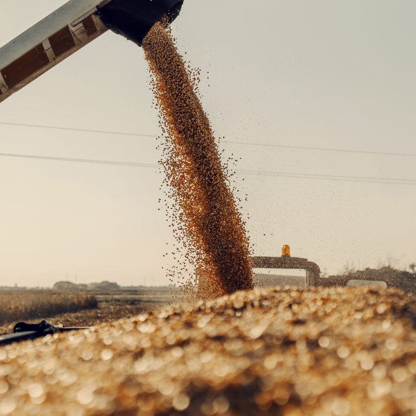 Con 90% de precisión: el “asesor digital” que crearon tres argentinos para ganarle al mercado de soja y maíz