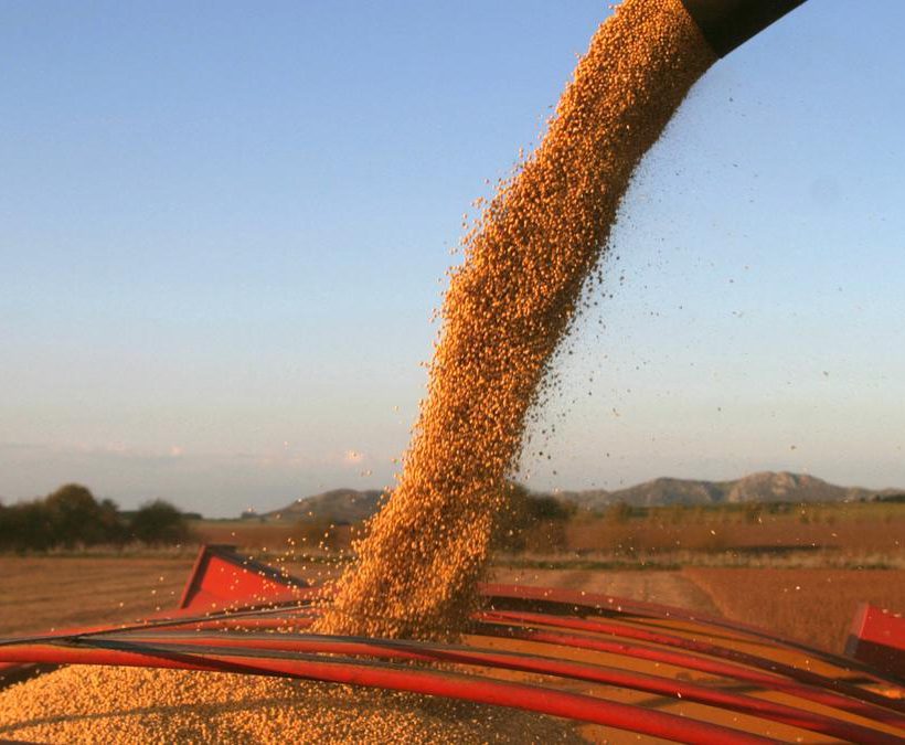 Se oficializó la continuidad del dólar soja: los detalles de la medida