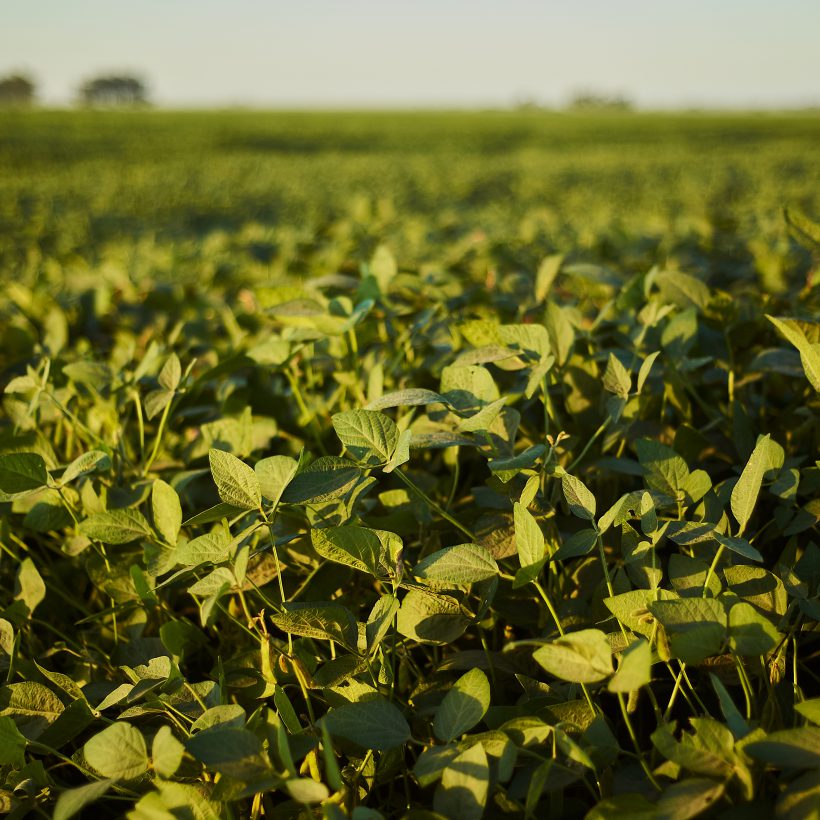 El mapa de la esperanza: el impactante cambio en la disponibilidad de agua en el suelo del 2022 vs. 2023