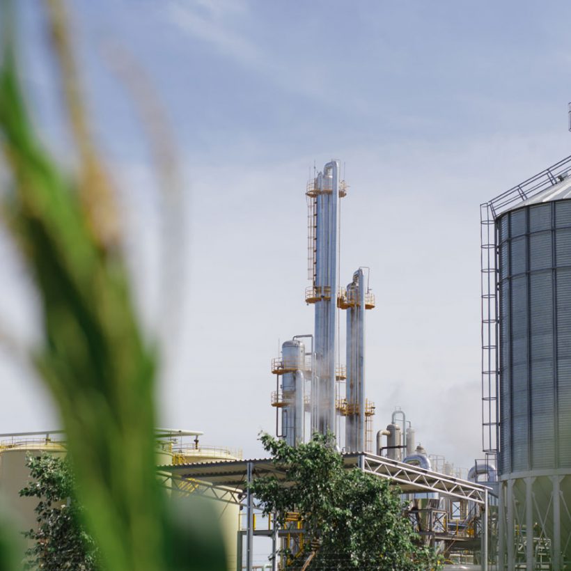 Biocombustibles: las provincias reclaman cambios en la ley ómnibus a horas de que se discuta en Diputados