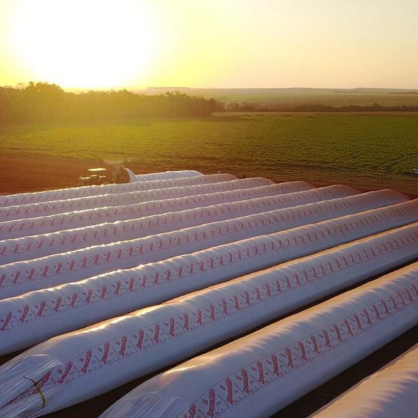 Caso inédito: pusieron 19 silobolsas monitoreados como garantía y les dieron un crédito por US$ 600 mil