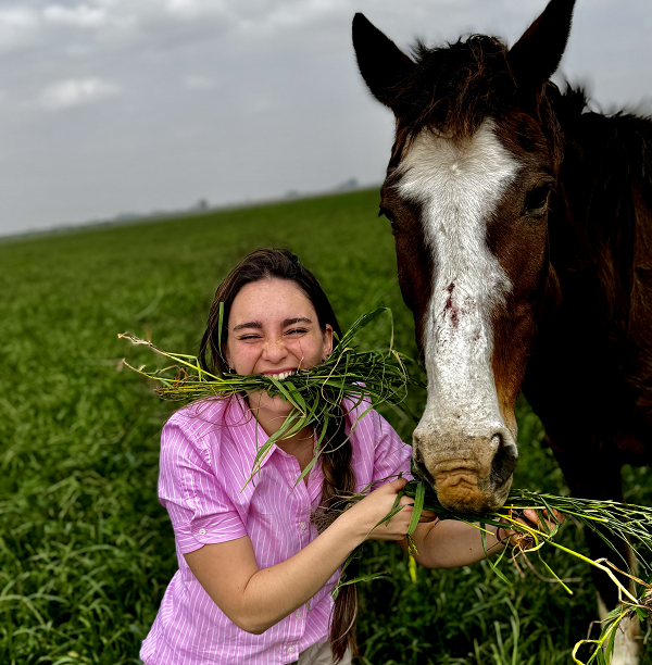 La historia viral detrás del carro para fardos