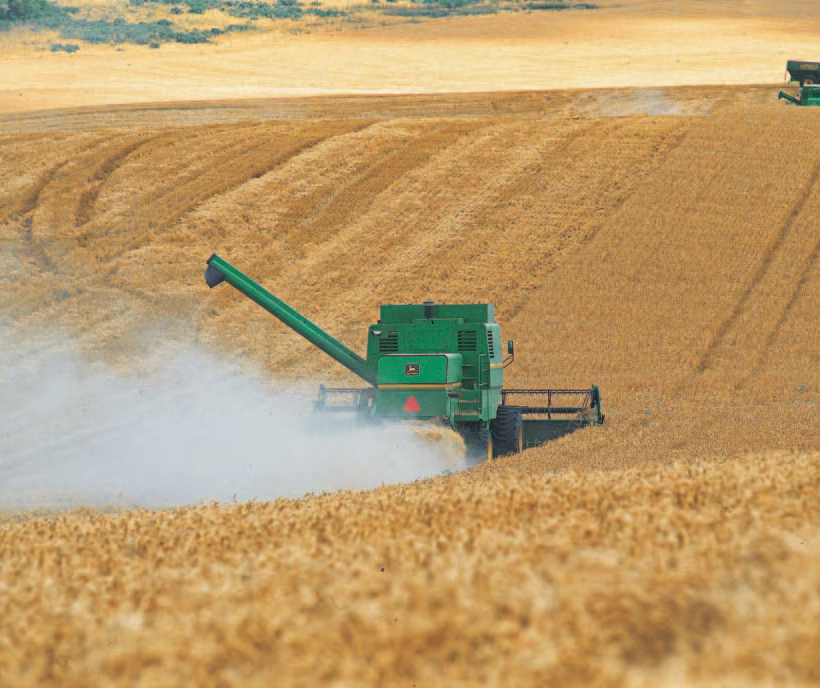 El Agro: Pilar de las Exportaciones Argentinas