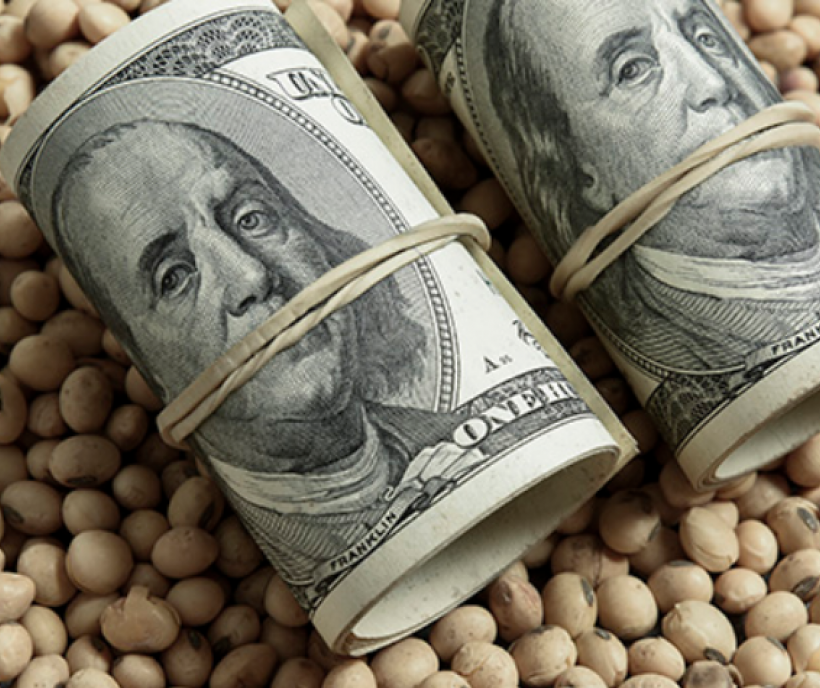 Dólar 2025: Impacto en el agro y las incógnitas del mercado cambiario